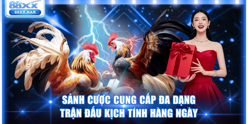Sảnh cược cung cấp đa dạng trận đấu kịch tính hàng ngày